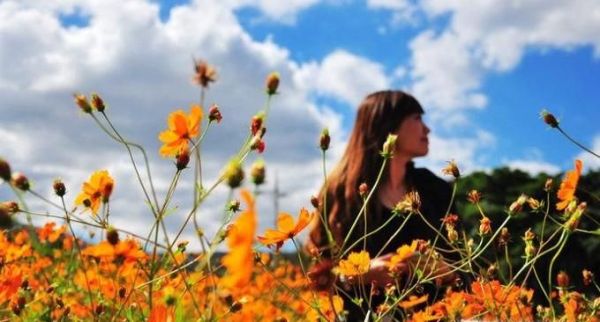 花海中如何拍出好看的照片