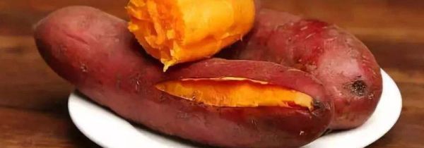 红薯可以和牛奶一起吃吗