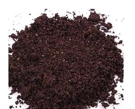 刚买回家的多肉怎么种 多肉买回家要怎么处理