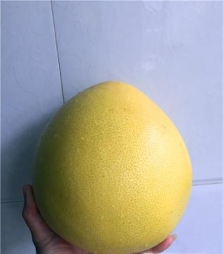 挑选柚子的方法