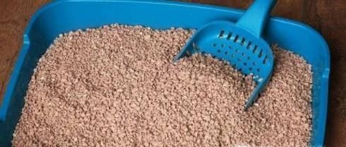 使用猫砂的注意事项