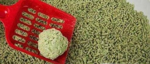 使用猫砂的注意事项
