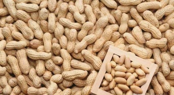 吃花生的好处和坏处你知道吗