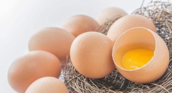 鸭肉不能和什么共同食用？