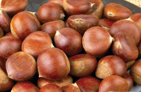 鸭肉不能和什么共同食用？