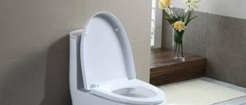 在别人家上厕所冲不干净怎么办