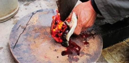 怎么杀甲鱼？怎么处理甲鱼？