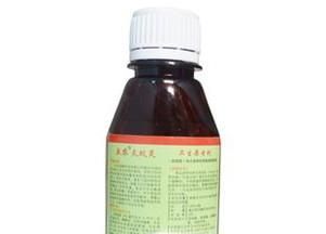 家里有虫子怎么办？