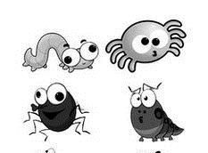 家里有虫子怎么办？