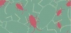 家里有虫子怎么办？