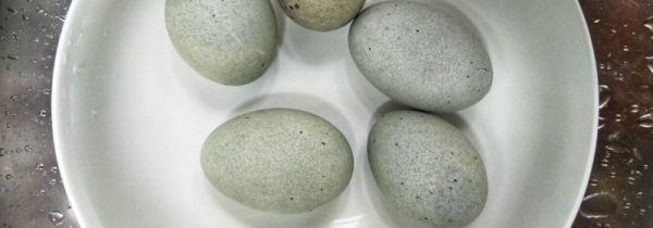 皮蛋可以放冰箱冷藏吗