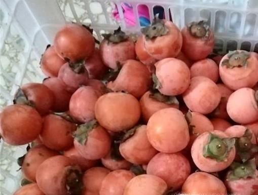 新鲜柿子该如何保存、催熟？食用禁忌有哪些？