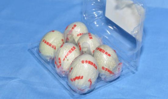 皮蛋可以带上飞机吗