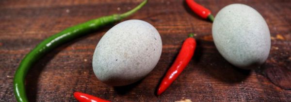 皮蛋可以煮着吃吗