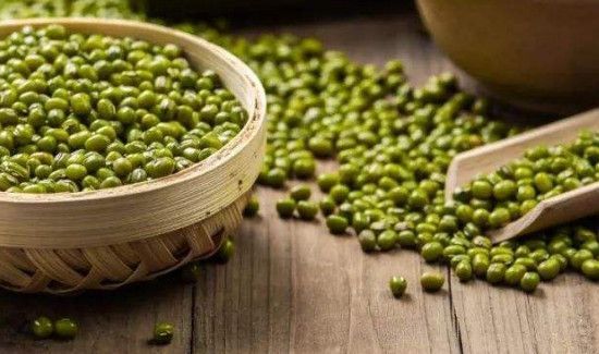 驴肉可以和绿豆一起吃吗