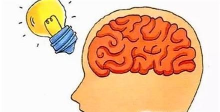 蛏子的营养价值及功效