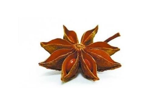 怎样分辨八角和莽草