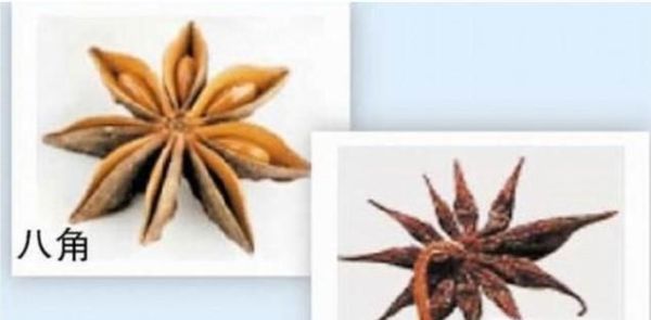 怎样分辨八角和莽草