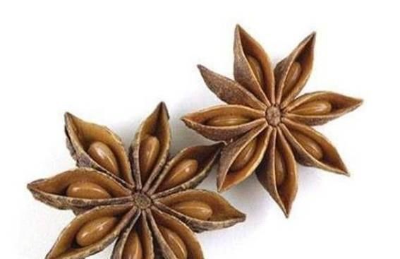 怎样分辨八角和莽草