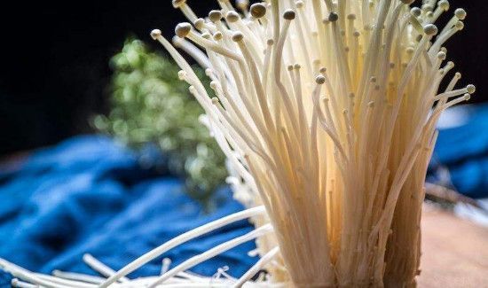 驴肉不能和什么一起吃