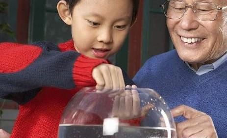 如何养小金鱼？