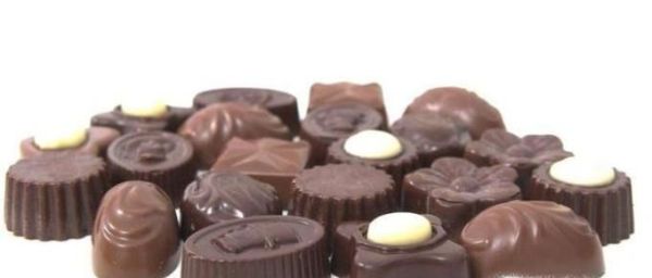 萨摩耶该怎么养