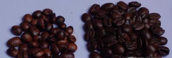 咖啡豆的分类有哪些