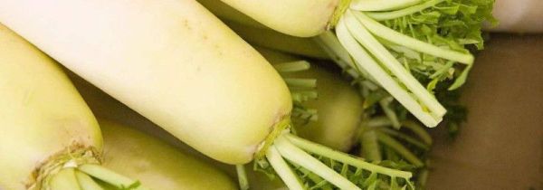 白萝卜可以和土豆一起炖着吃吗