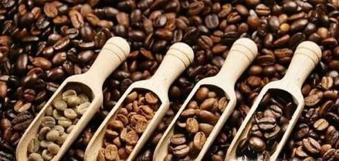 咖啡豆的分类有哪些