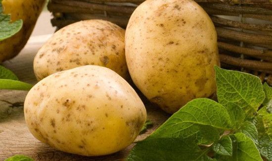 白萝卜可以和土豆一起炖着吃吗