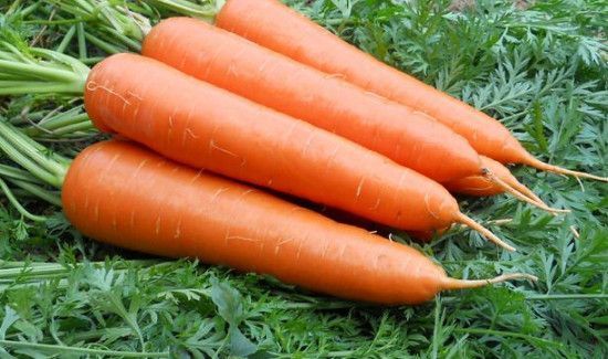 白萝卜可以和胡萝卜一起煲汤吃吗