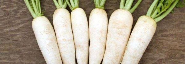 白萝卜可以和胡萝卜一起煲汤吃吗