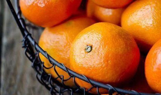 兔肉不能和什么一起吃