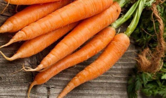 兔肉不能和什么一起吃