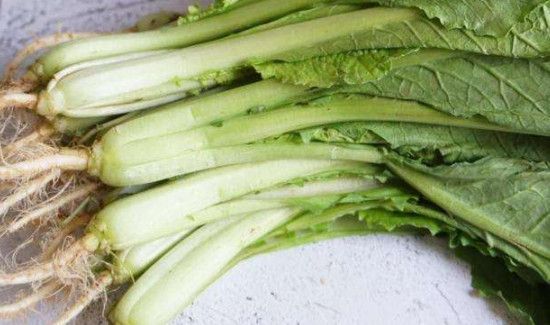 兔肉不能和什么一起吃