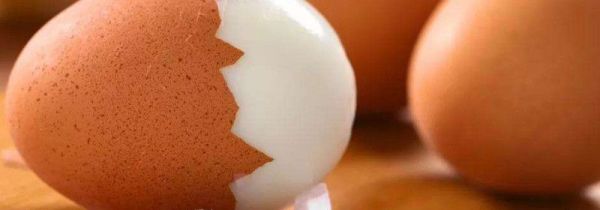 兔肉不能和什么一起吃