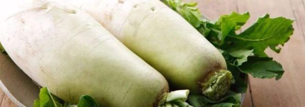 白萝卜可以和海带一起吃吗