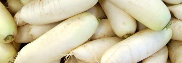 白萝卜可以和胡萝卜一起吃吗