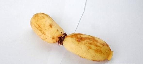 最适合秋季吃的食物