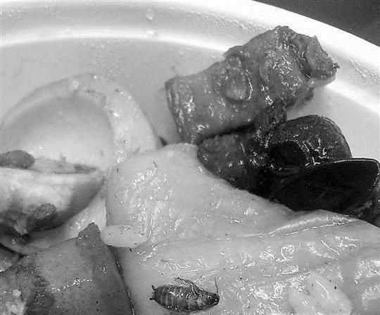 在外面餐馆吃到蟑螂等脏异物或者变质菜如何维权