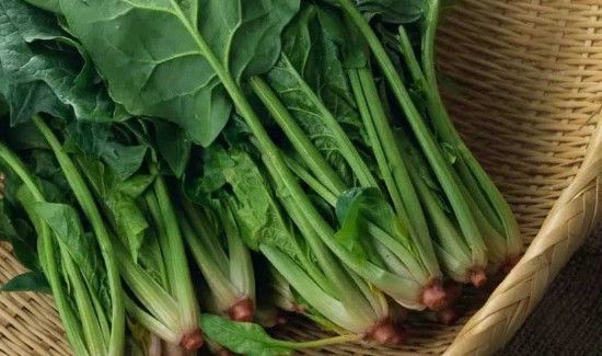 虾皮不能和什么一起吃