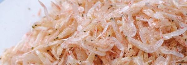 虾皮可以和番茄一起吃吗