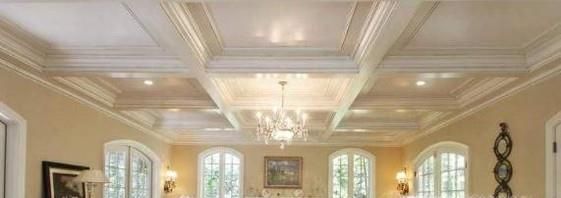 吊顶有老鼠怎么办呢？