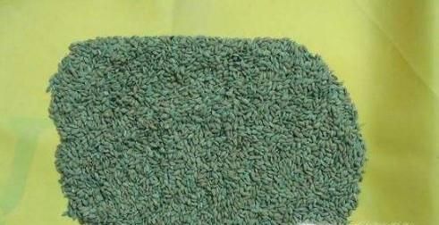 吊顶有老鼠怎么办呢？