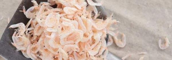 虾皮可以和胡萝卜一起吃吗