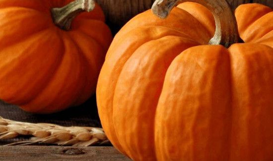 虾皮可以和南瓜一起吃吗