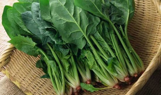 虾皮可以和菠菜一起吃么