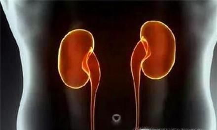 壮阳食物排行榜 男人最有效补肾壮阳的食物