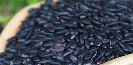 如何分辨黑米的真假