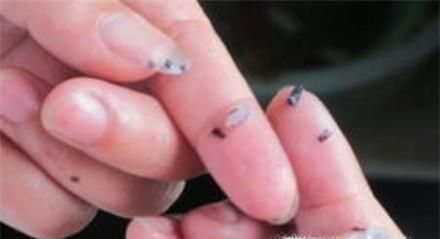 如何分辨黑米的真假